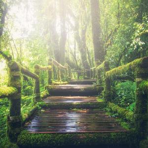 人妻体内射精一区二区
