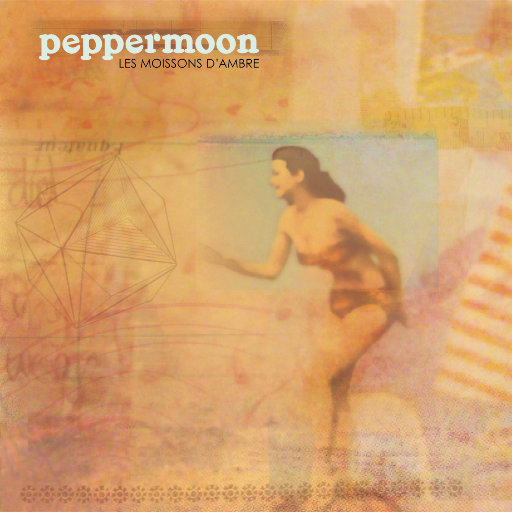 人妻体内射精一区二区
